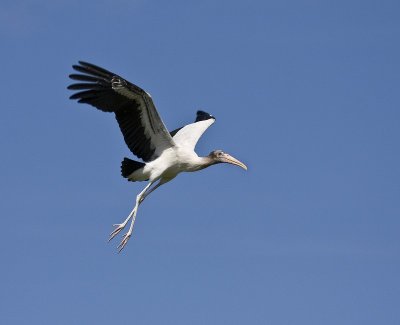 IMG_1711.jpg