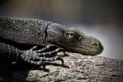 IMG_1778.jpg