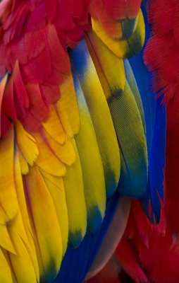 IMG_1814.jpg