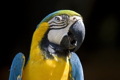 IMG_1868.jpg