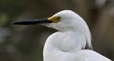 IMG_1953.jpg