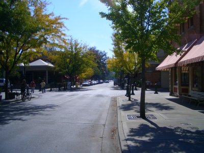 Street Scene at Hyde Park