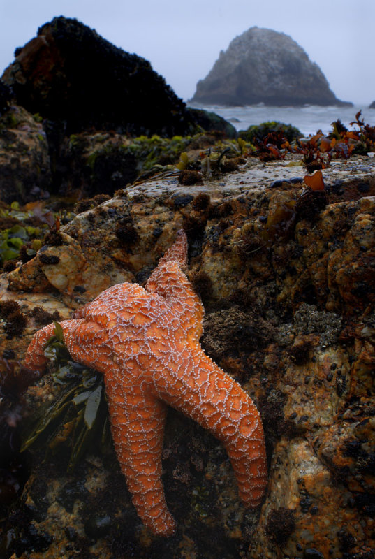 McClure Beach