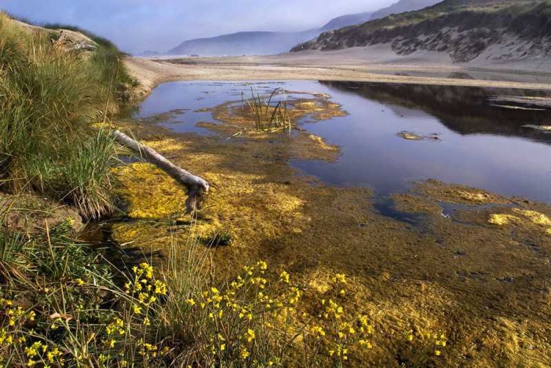 kehoe Beach