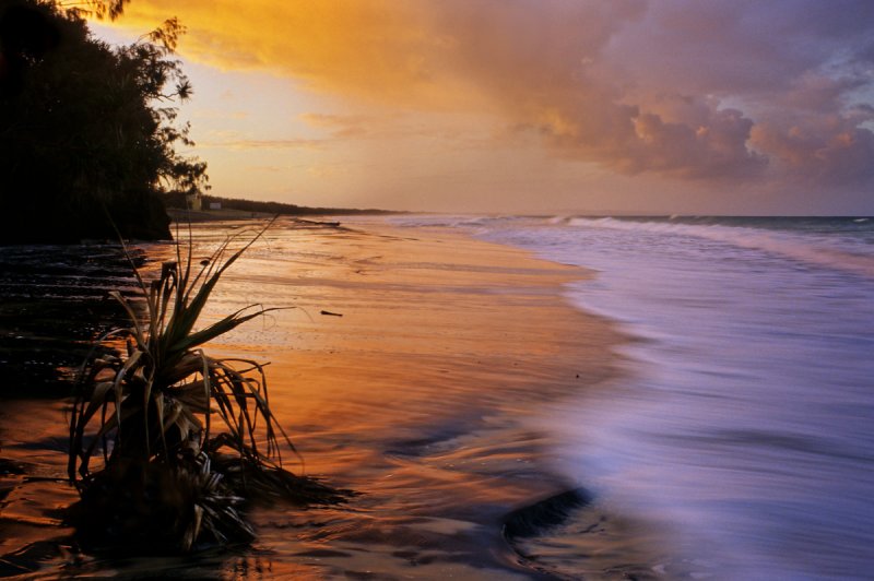 wave coming up the beach