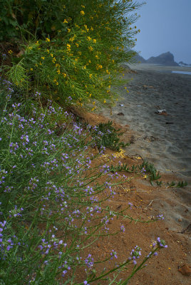 McClure Beach