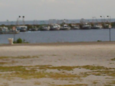 Fishing boats formerly docked in the 17th street canal