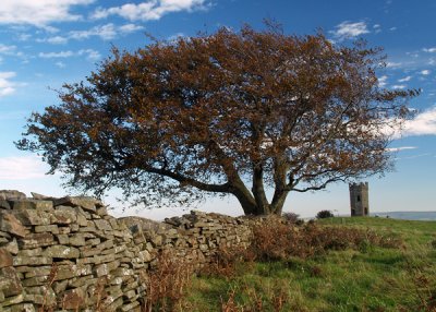 Wall and Tree with Tower Framed.jpg