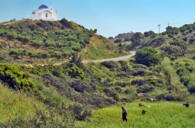 Chapel and goats