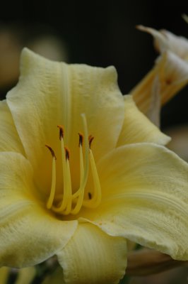 DSC_0774.JPG
