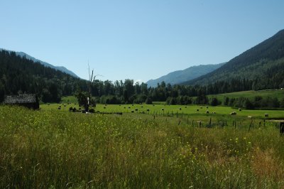 Valley