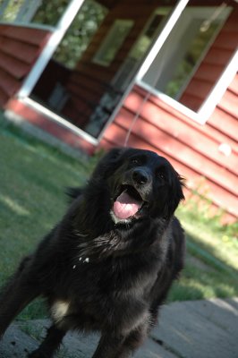 Maggie