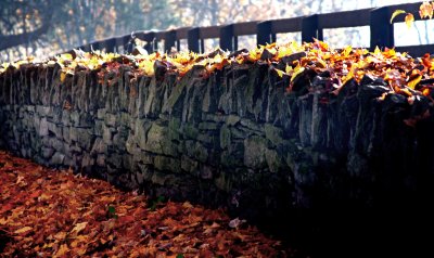 Fall Leaves Stone Wall.jpg