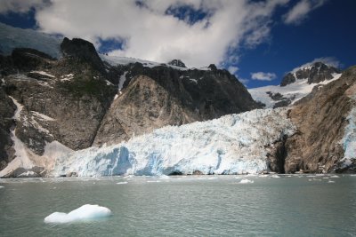 Glacier in Fjord.JPG