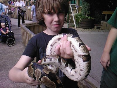 snake 2.jpg