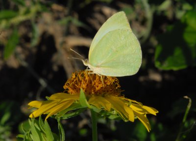 eLyside_1158.jpg