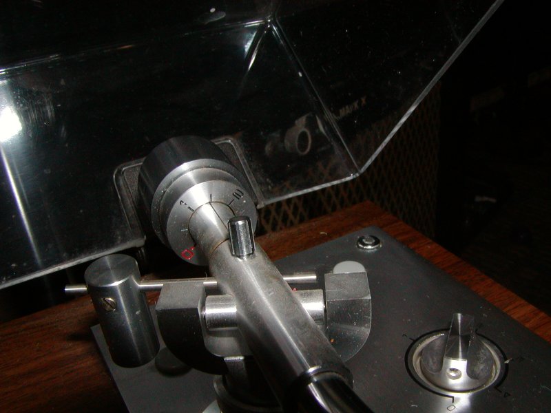 P7290017.JPG