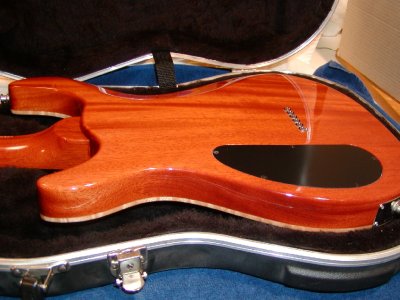 Carvin_CT6M_back3.JPG