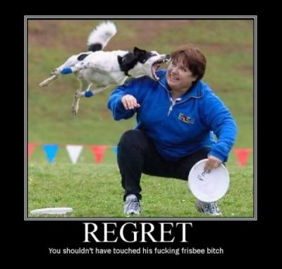 frisby_toucher.jpg