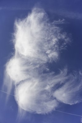 g5/53/13853/3/98461717.Sp5L8a0J.jpg