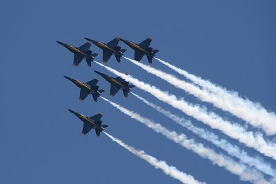 IMG_7875.JPG
