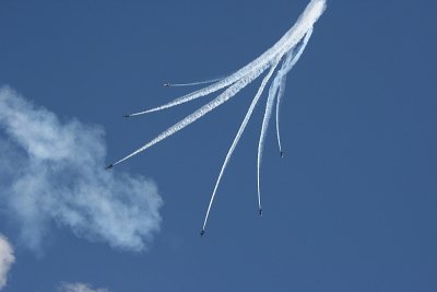 IMG_7902.JPG