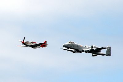IMG_8295.JPG