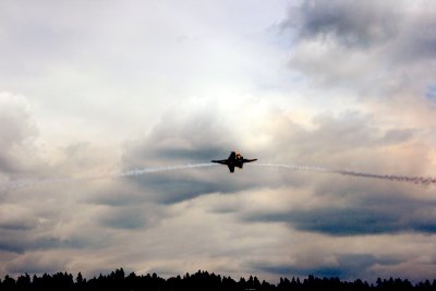 IMG_8367.JPG