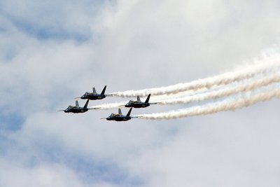 IMG_8386.JPG