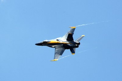 IMG_8437.JPG