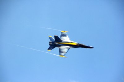 IMG_8976.JPG