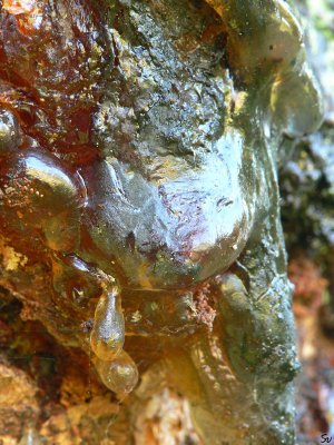 harpiksformer-resinshapes-50.jpg