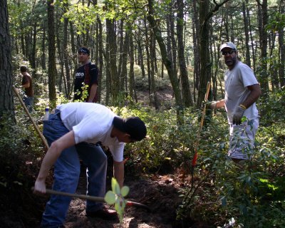 Backbreaking