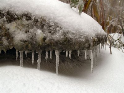 Frozen stalagtites