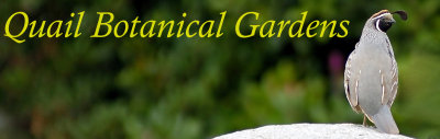 Quail Botanical Gardens Banner