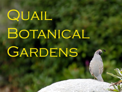Quail Botanical Gardens - Macro Shooting Paradise