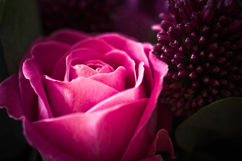 15 July - flowers