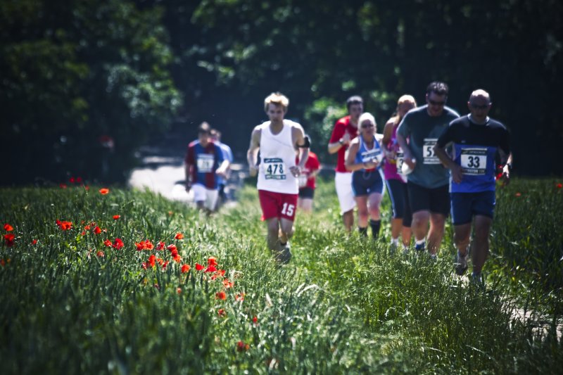 Orpington 10k run - a field in Farnborough