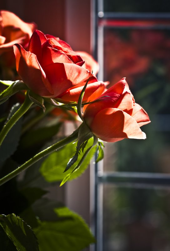28 June - warm glow