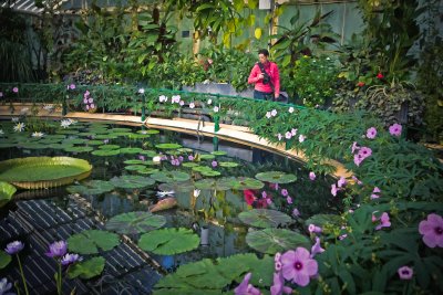 Gail in the Lily House