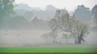 22 October - Misty start