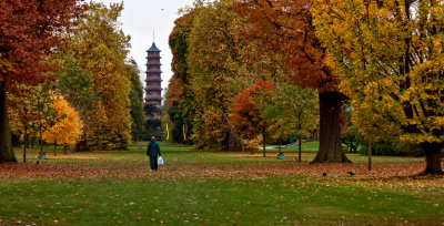 Autumn in Kew
