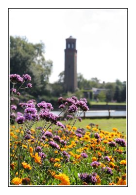 Flowers and towers