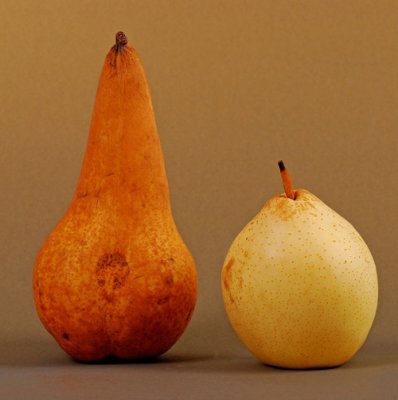 Pear-Pairs-original.jpg