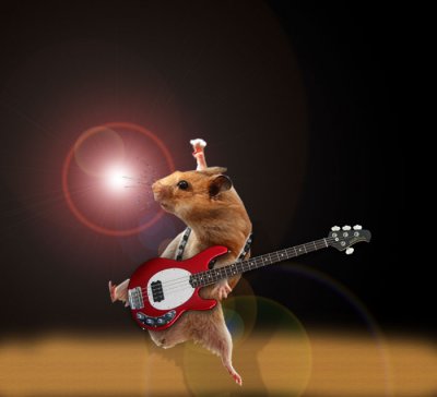 Hamster-Rock.jpg