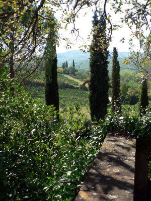 Tuscany -  September, 2006