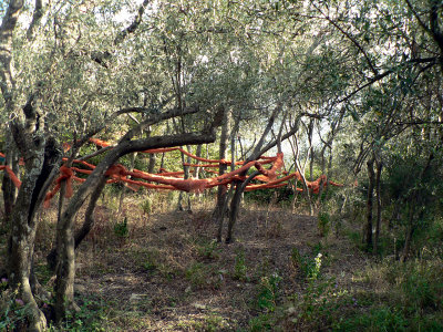 Rolled up nets waiting to be spread out to catch olives.