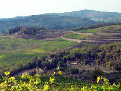 Driving along the Chiantigianna road on our way to Siena.