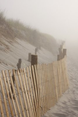 Dune Fencing in Fog