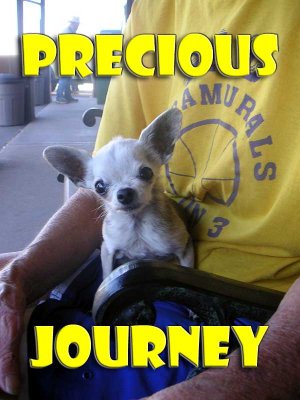 Precious Journey: A Special Day Ride